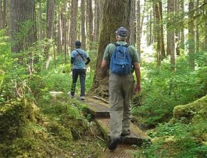 Hiking on Trails